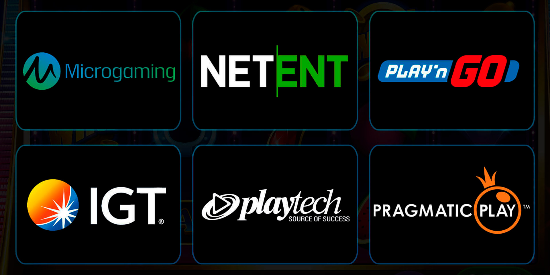 Software providers